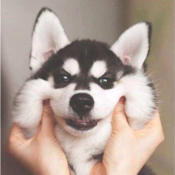 张张张张张张小姐姐