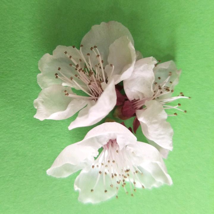 且行且珍惜