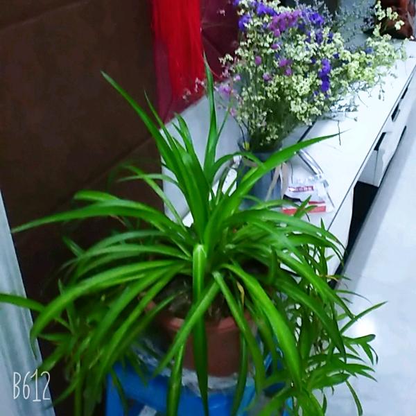 幸福一家用户959865035