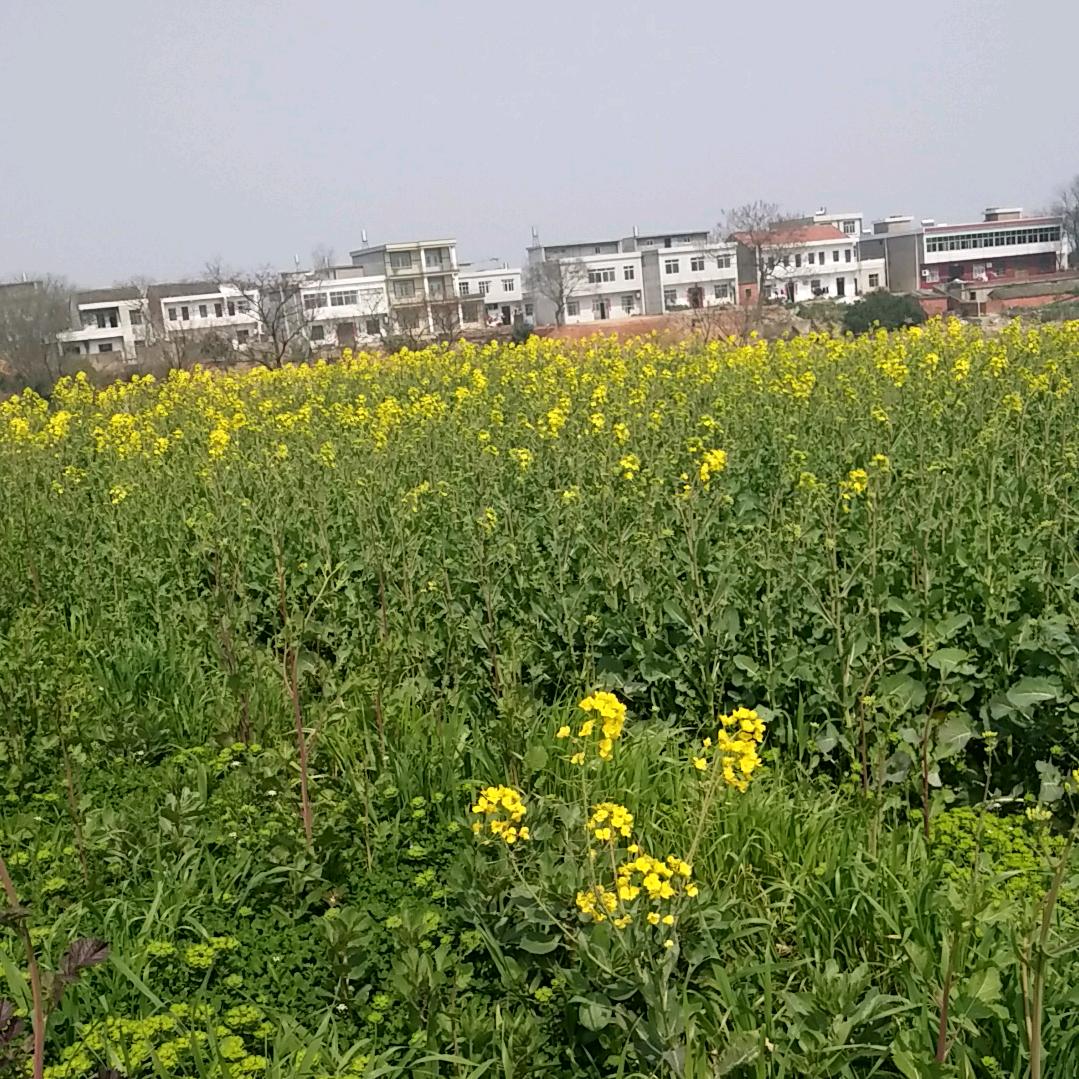 平安一生