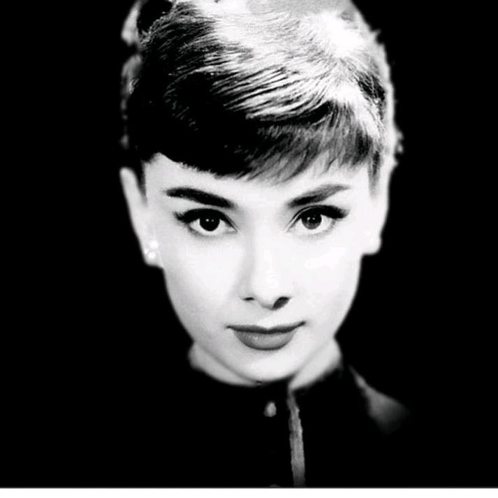 鱼儿～🐬sfy🐬