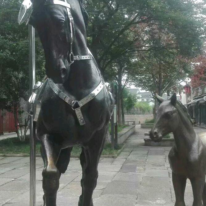 人在旅途（手机摄影）
