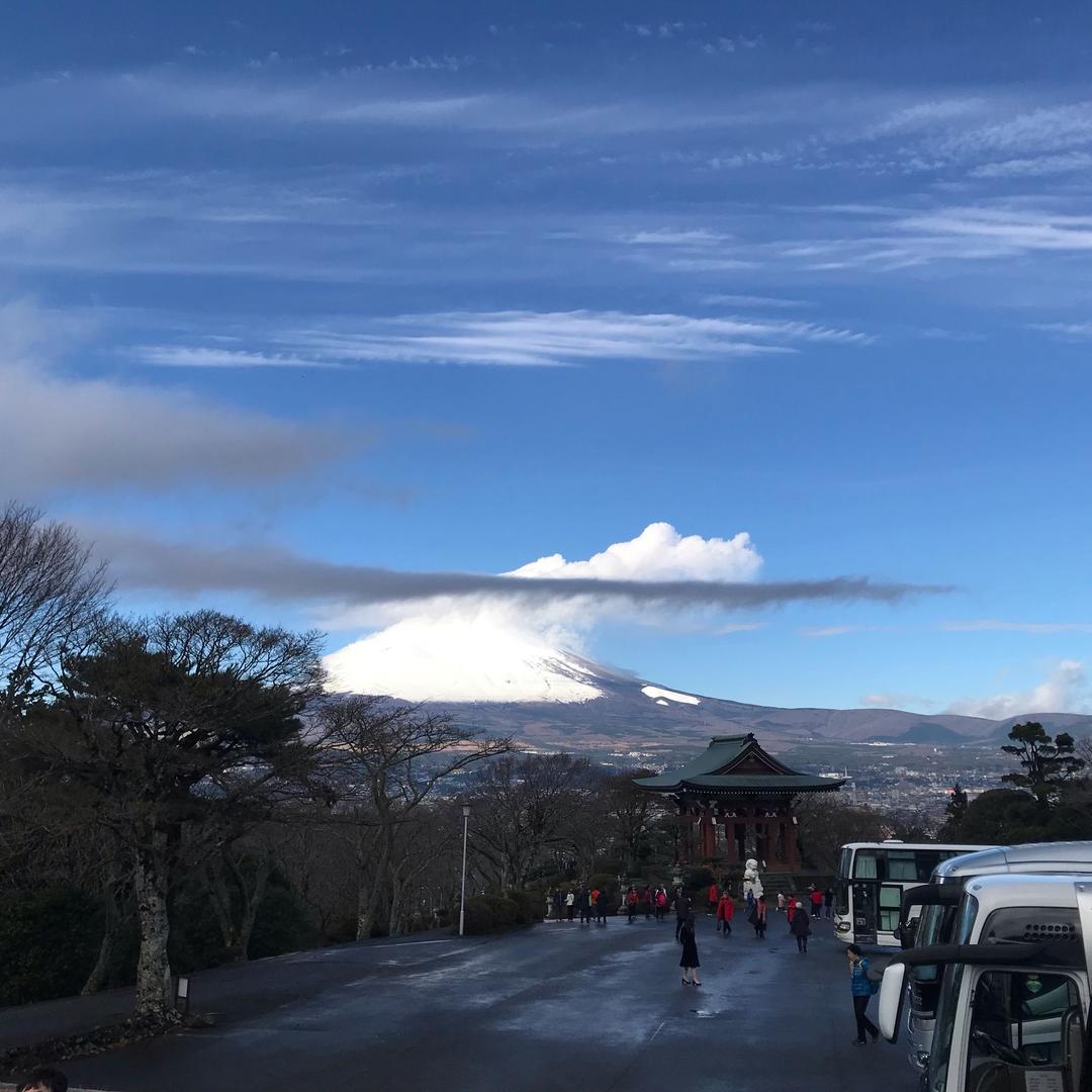 蘩藜