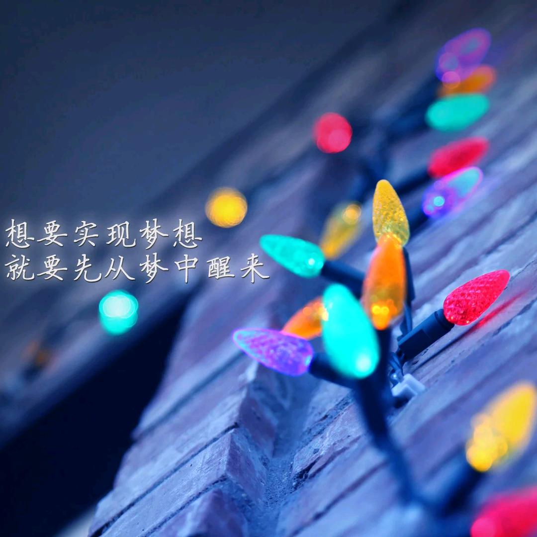 ৫玉树临风乡刘延成