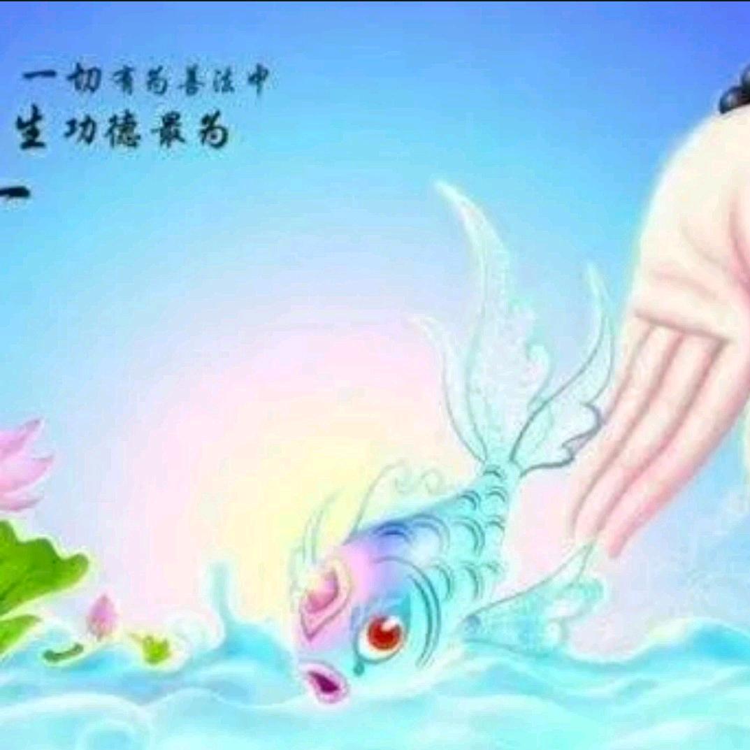 小夜