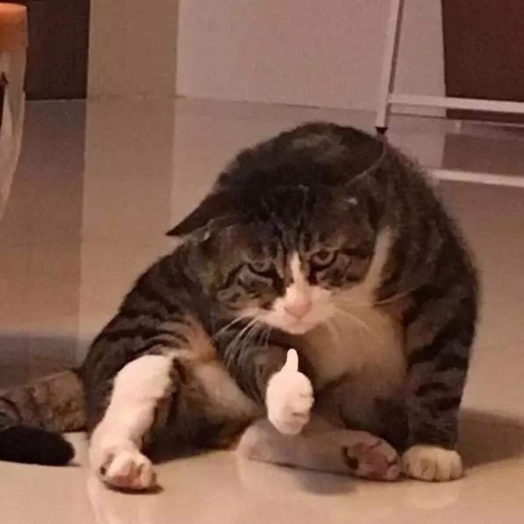 见云
