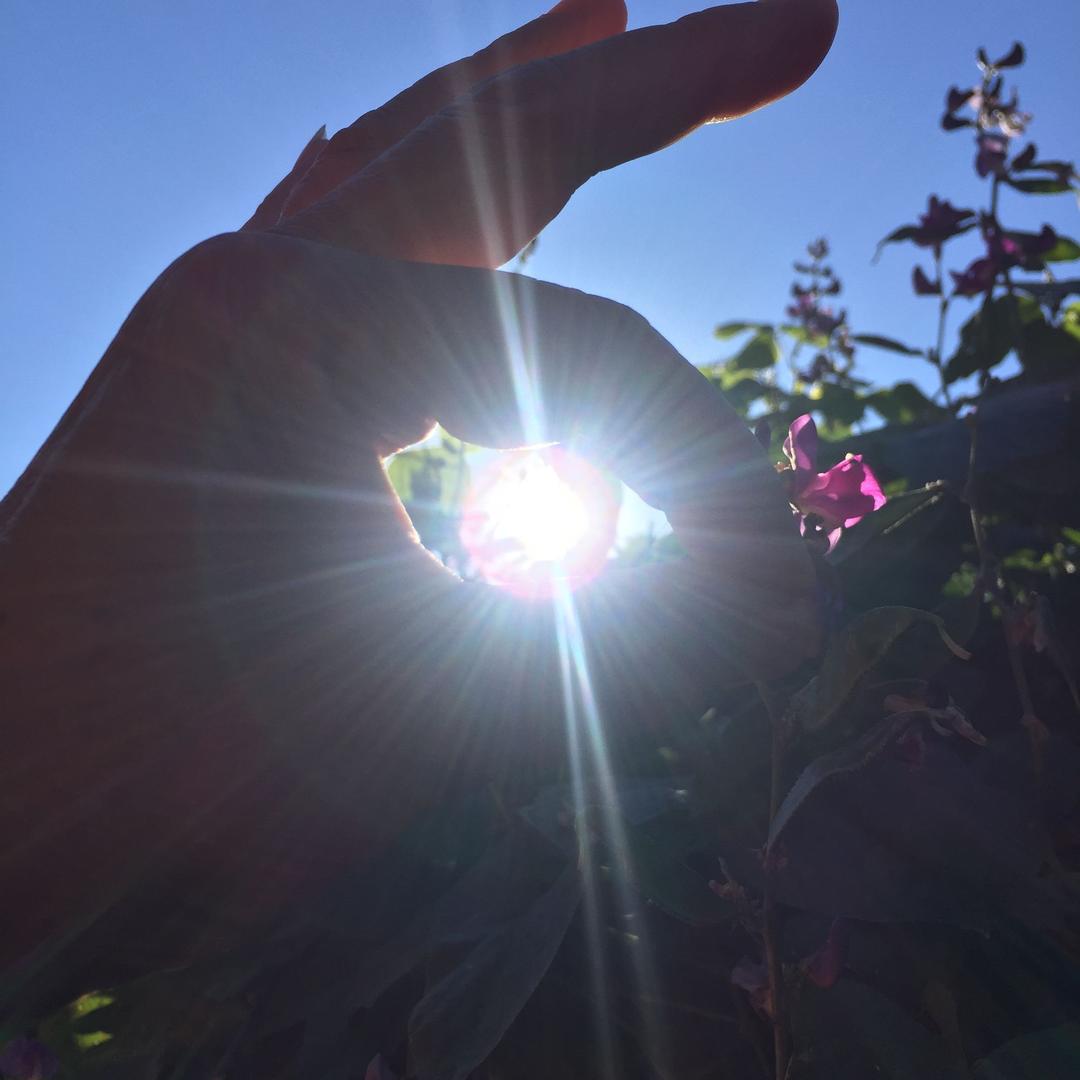 阳光🌈明媚🍀