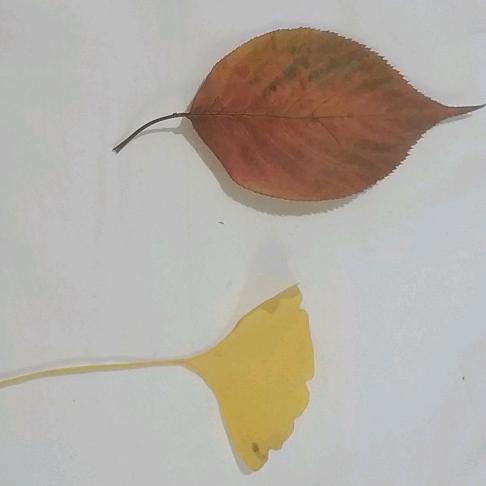 瓷器丶安能碰瓦罐