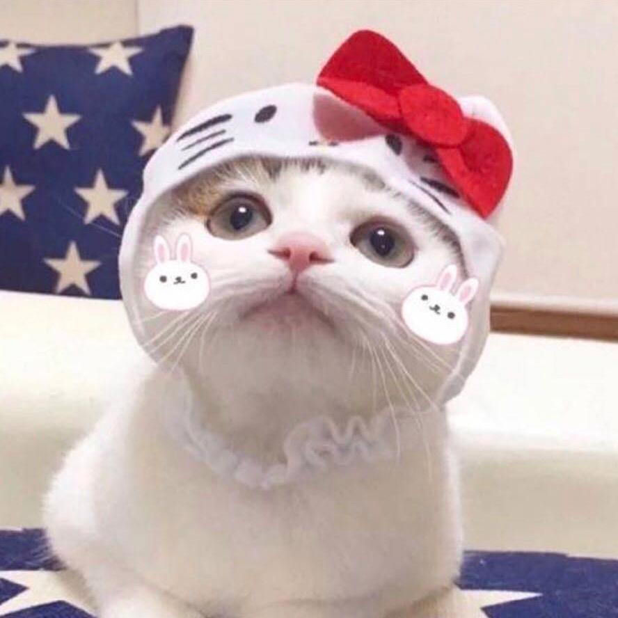 娇妹