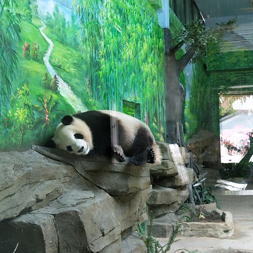 娃很想爸爸