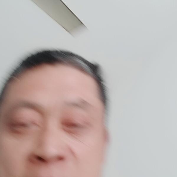 老实人