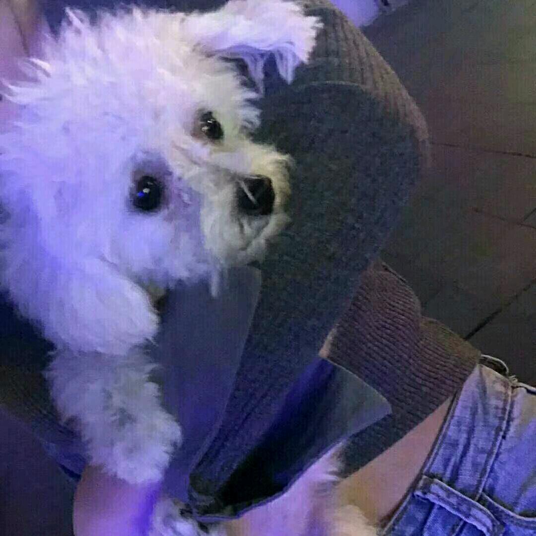 说给江南