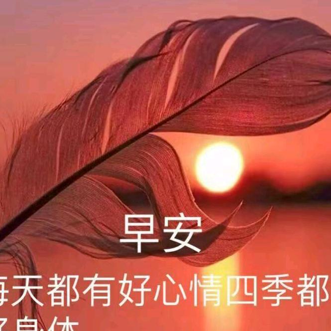 @随心
