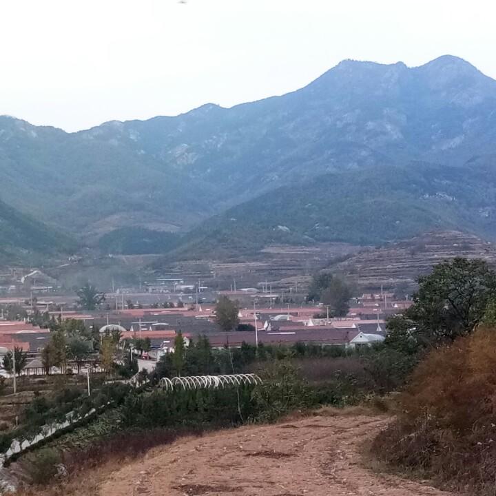 老家南湖的