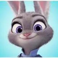 兔子🐰先生