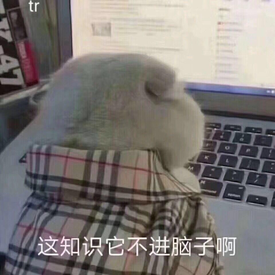 韩什么格