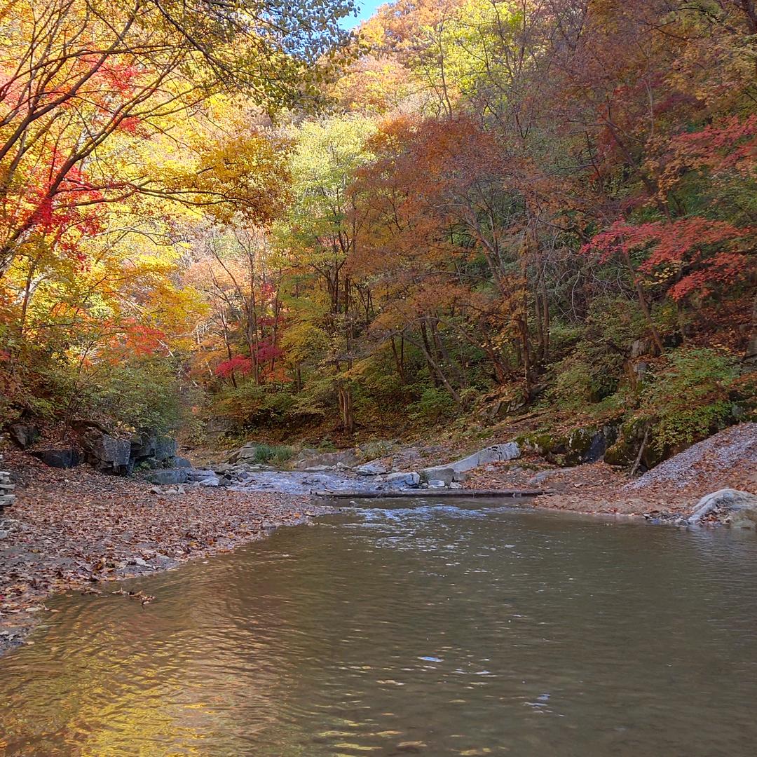 好人一生平安。