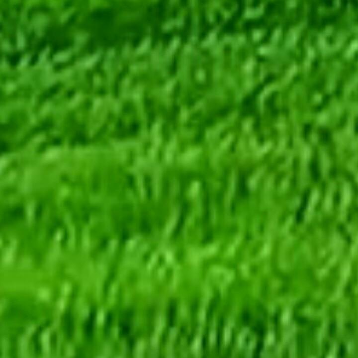 太阳