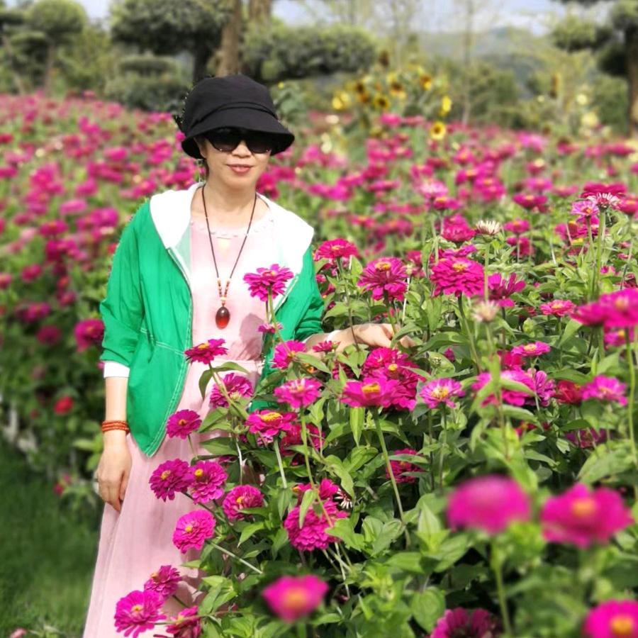淡如水