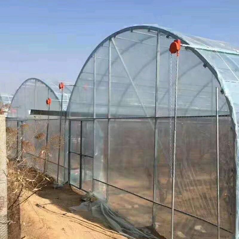 红牛温室（鲅鱼圈）55730665166