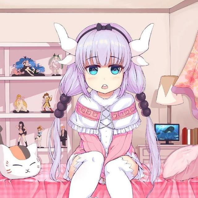 媛媛  🐾