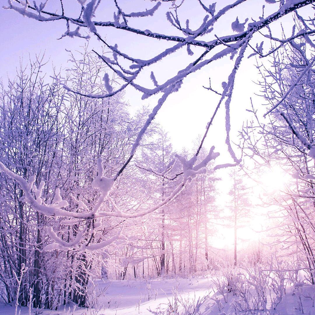 东风隆奕达服务中心＿管明炼