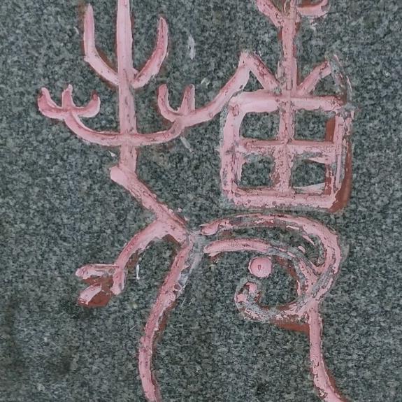 息县胜达驾校  付兵