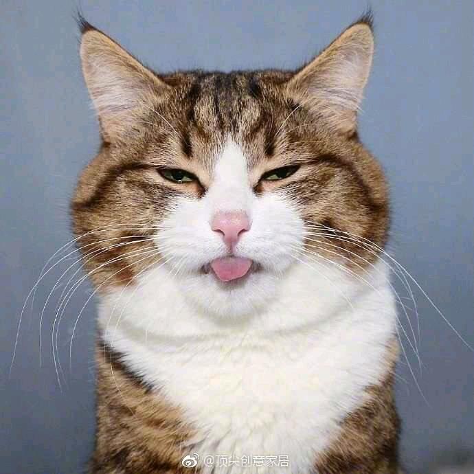 ┈┾侞淉︶ㄣ