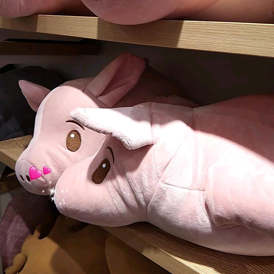 哈秋💤