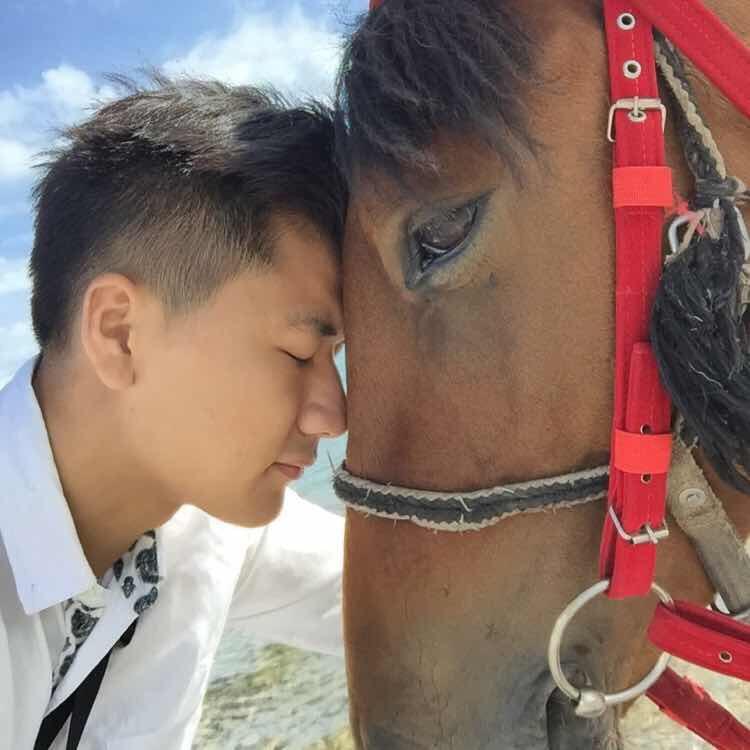冰怼怼