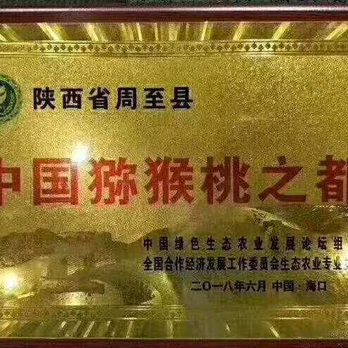 生态农业👉弥猴桃