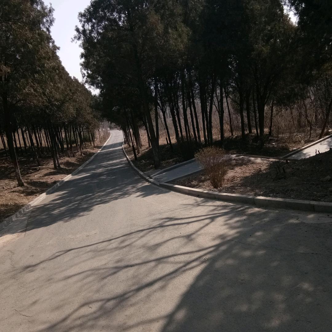 忽悠哥