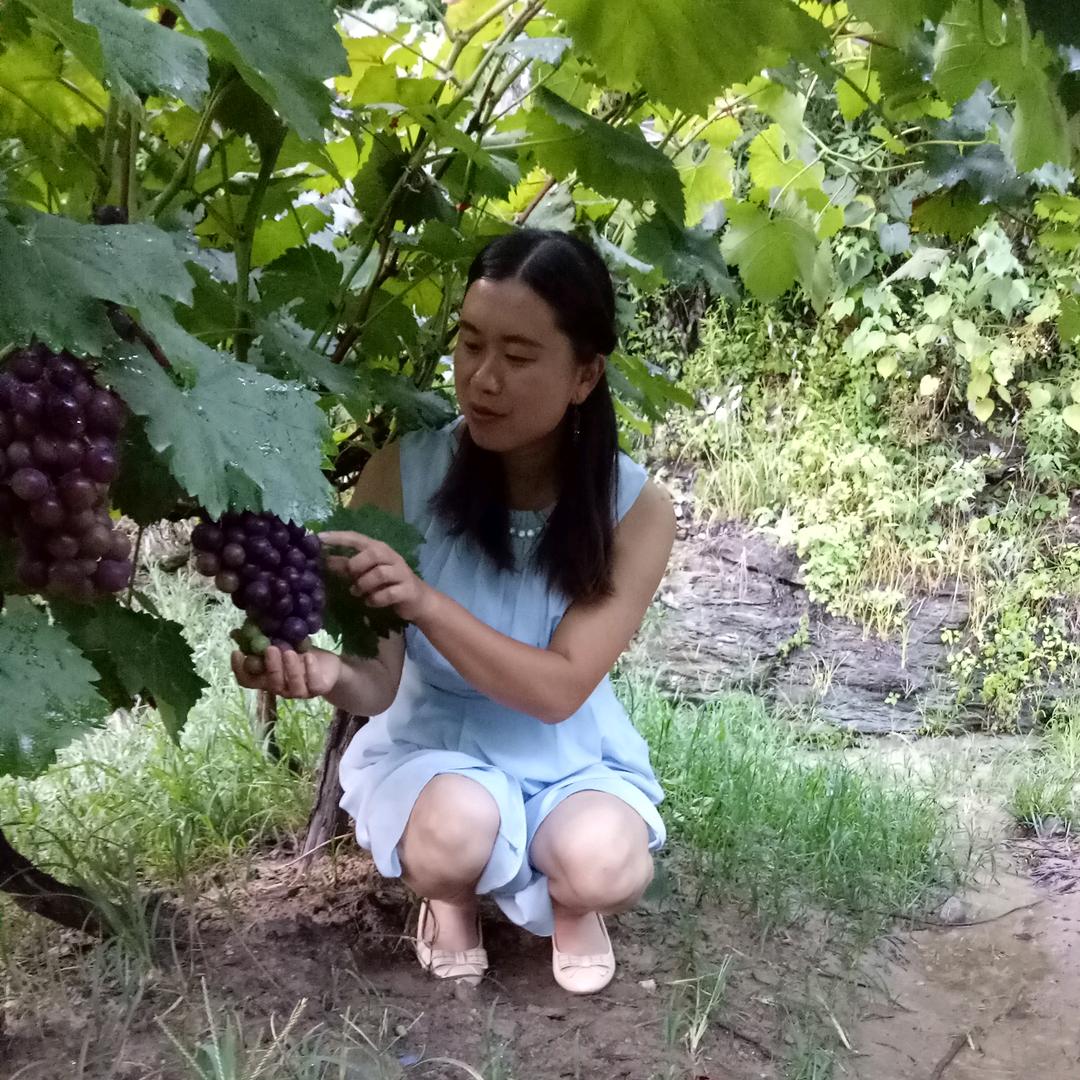 翠翠姐