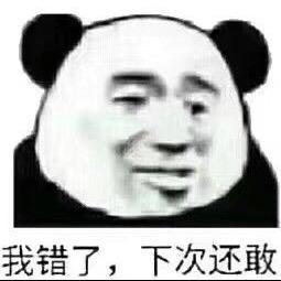 对不起我下次还敢