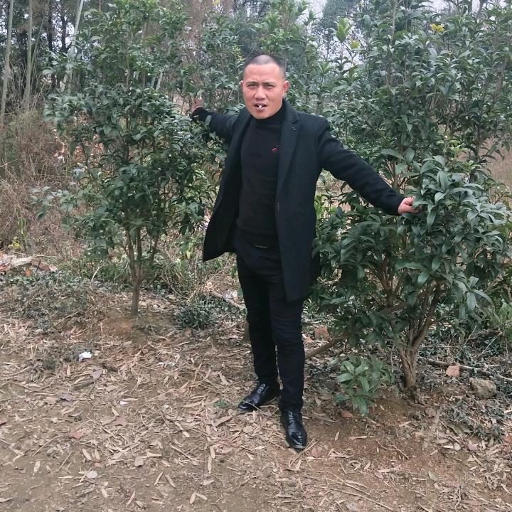 年味家宴专业上门办酒席