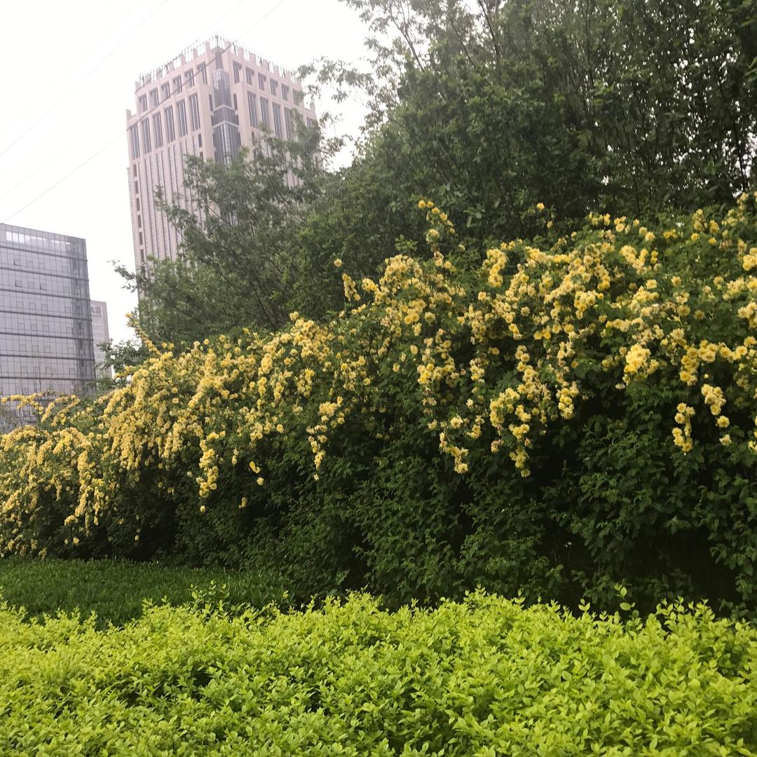 风之源