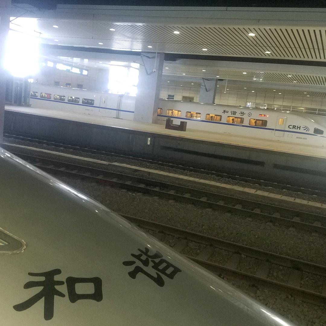 爱掉鱼