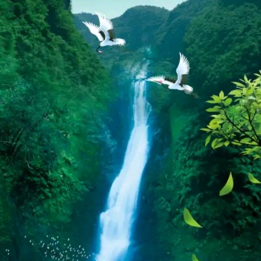 紫气东来