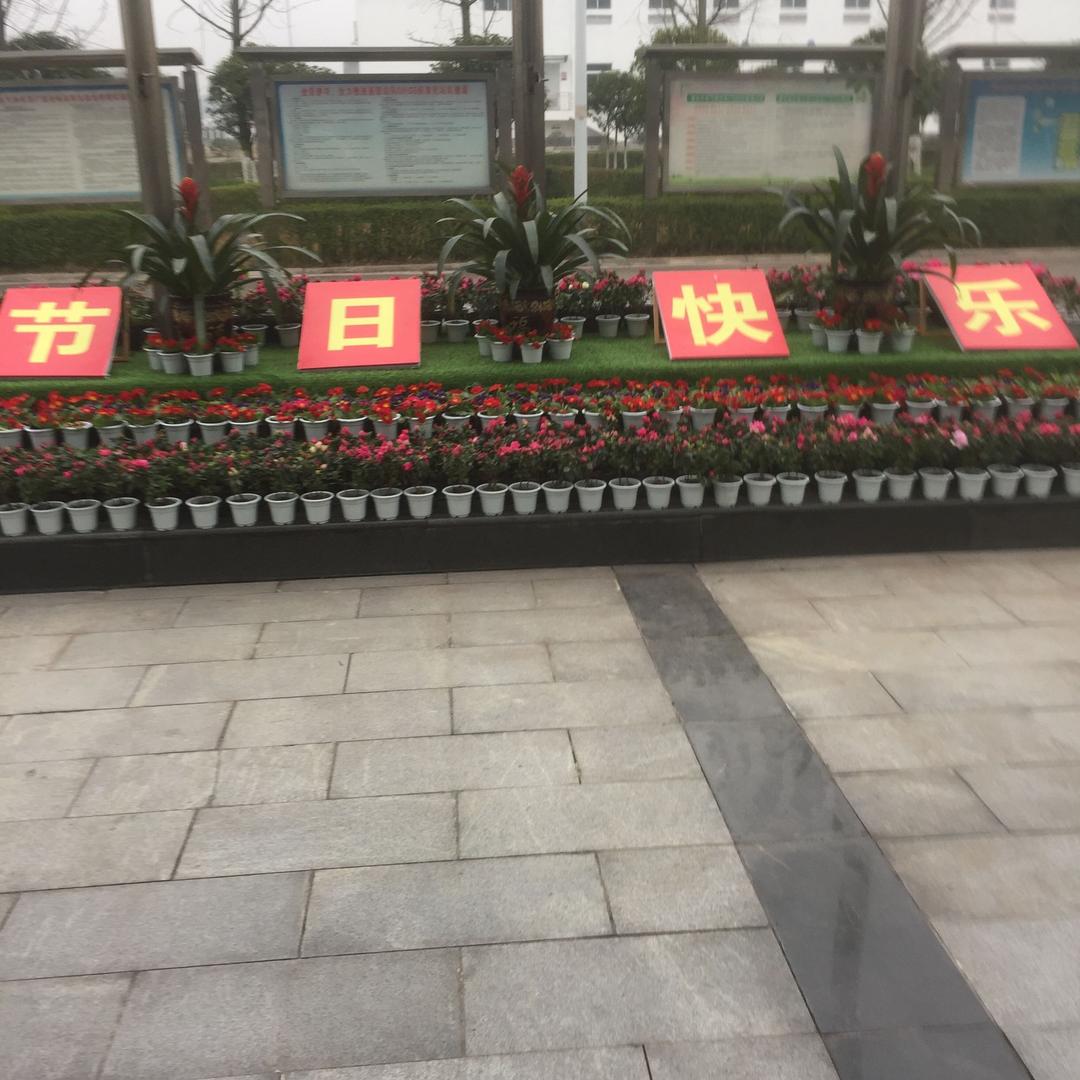 平安是福