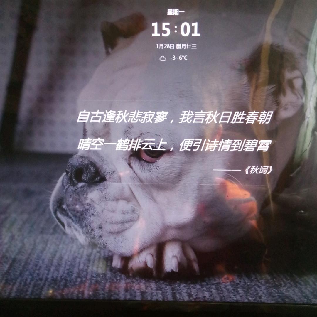 丝雨如愁