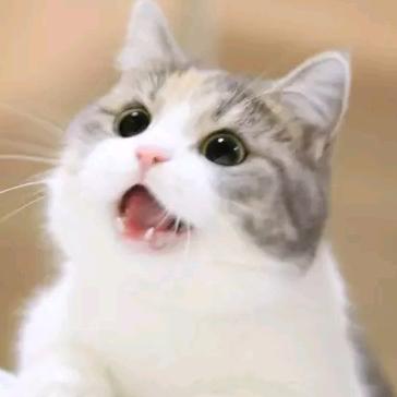 @@