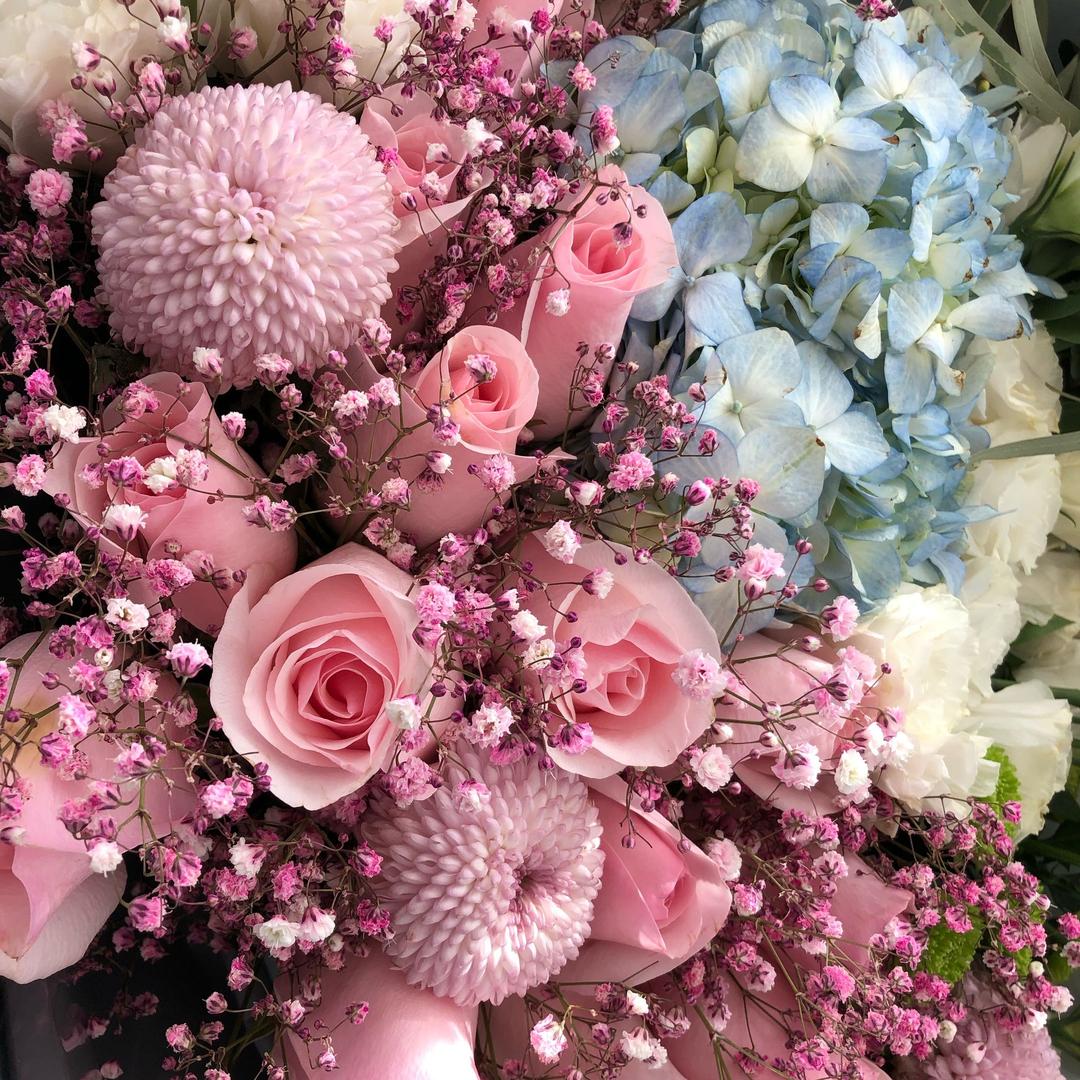洒洒