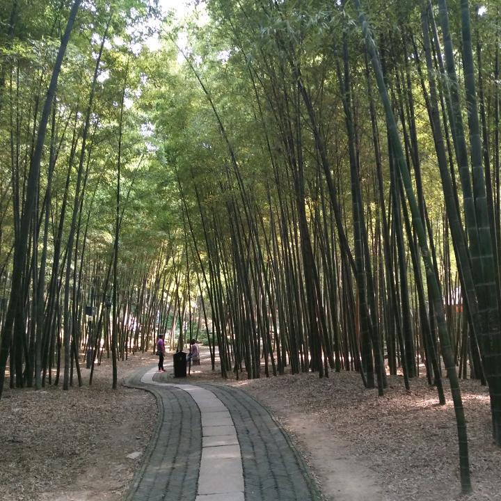 如果有来生