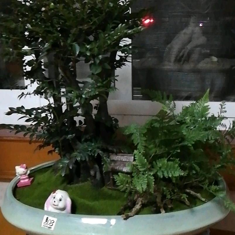 你军哥