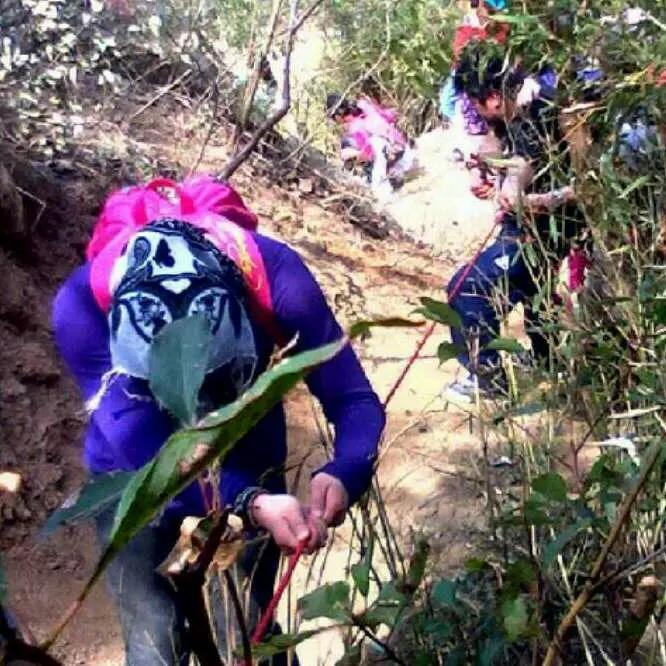 生活一半是火焰，一半是海水