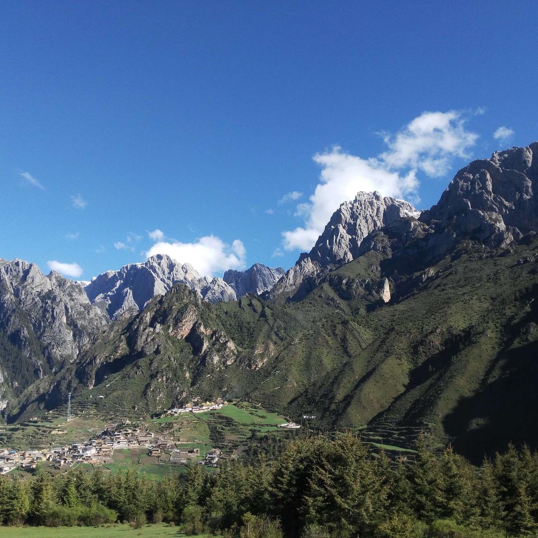 望南山