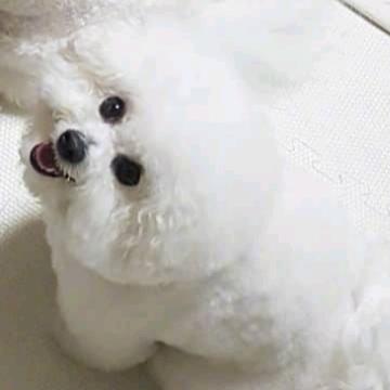 如嫣