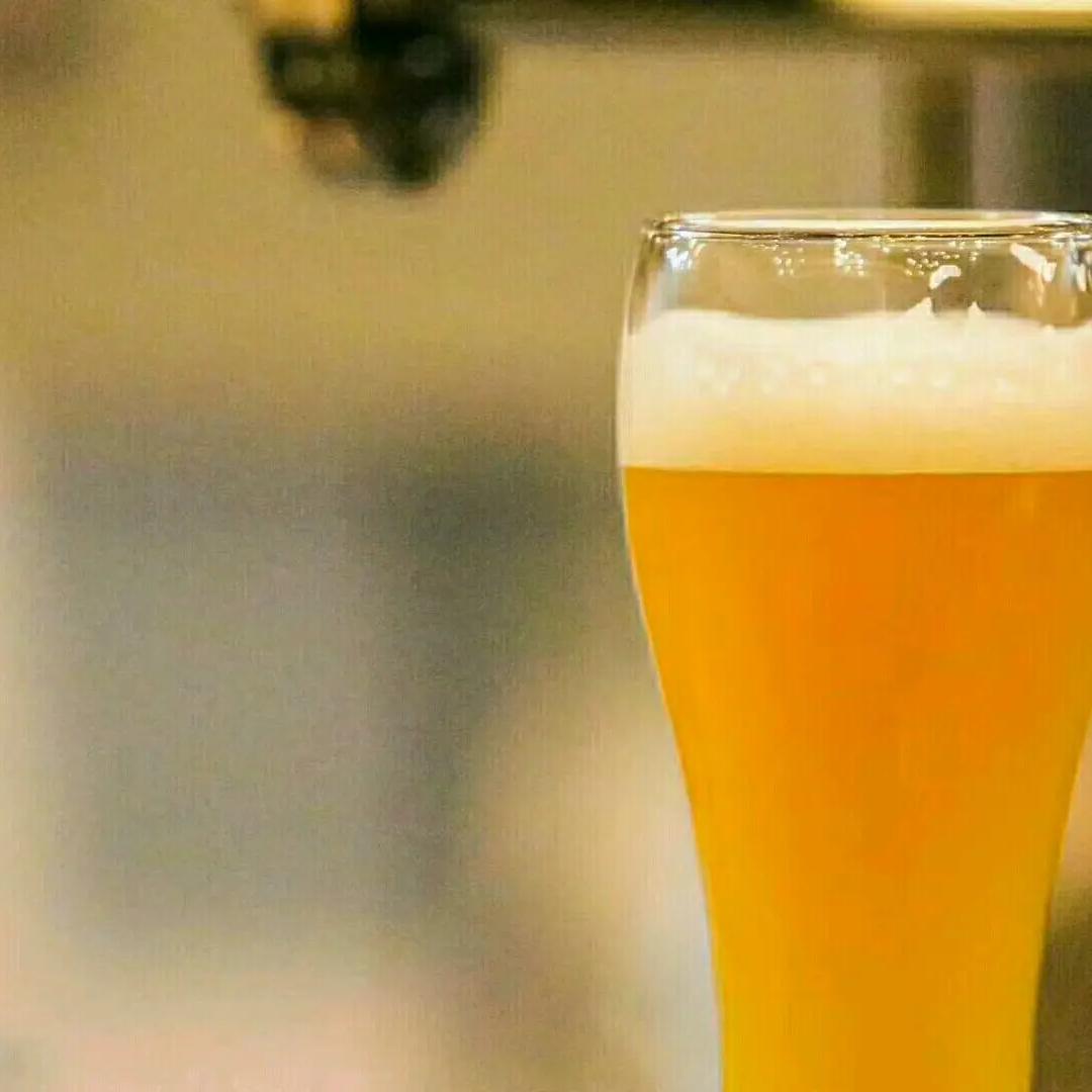 迟早一天等到你