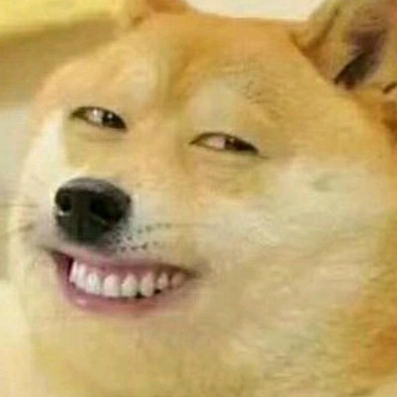 小豪