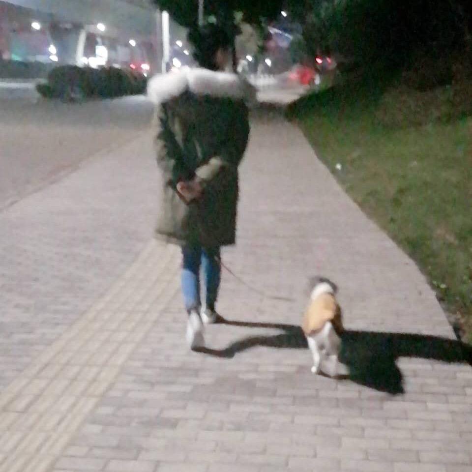 Holxt